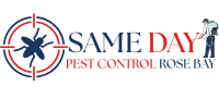 Same Daye Pest Control